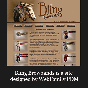 WebFamilyPDM, Portfolio, Bling Browbands